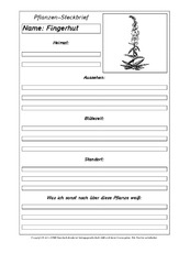 Pflanzensteckbriefvorlage-Fingerhut-SW.pdf